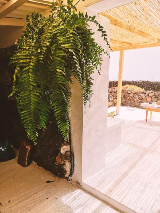 Estudio Con Bano Privado Órzola Exterior foto